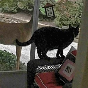 Meet your Posher, Karoline